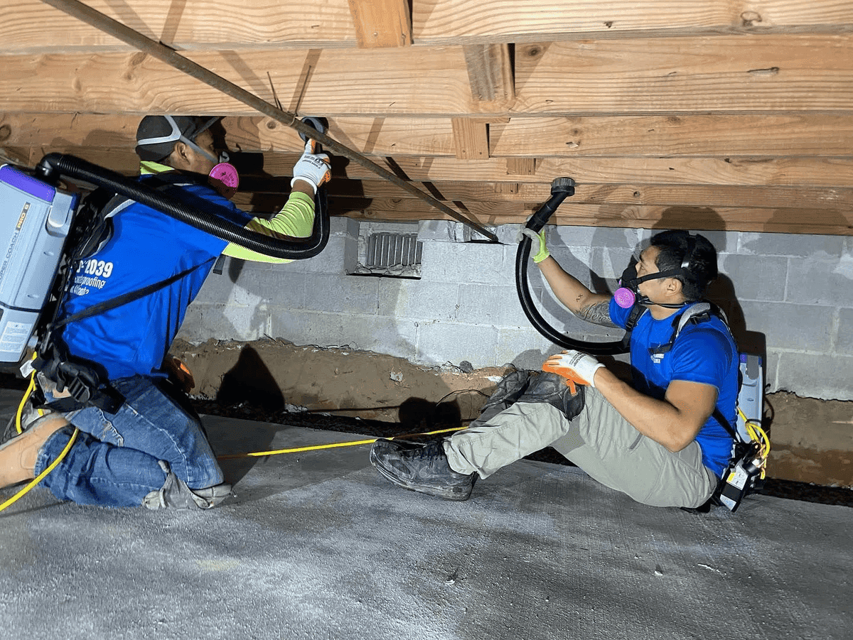 Crawl space structural repair and mold remediation in Atlanta